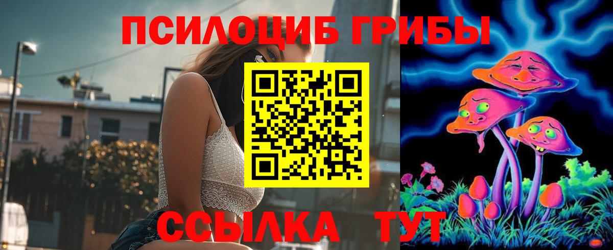 Волгодонск  Псилоцибиновые грибы Magic Shrooms  Вход с VPN 