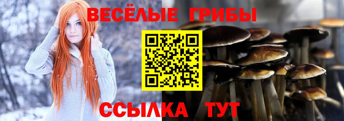 Псилоцибиновые грибы прущие грибы Волгодонск